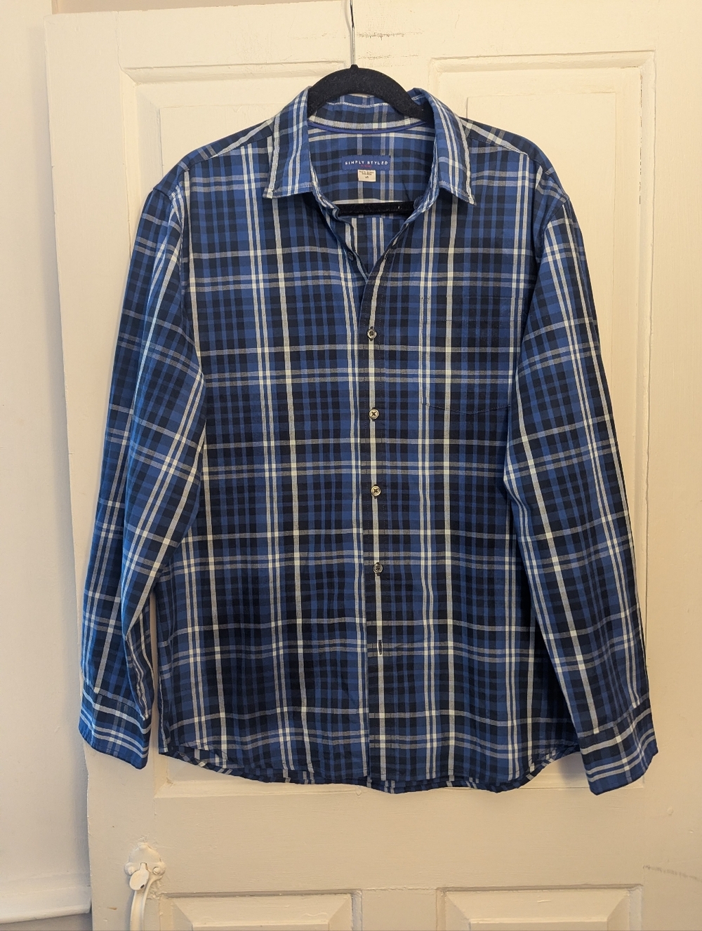 Simply Styled Blue and White Plaid Button-Down Shirt